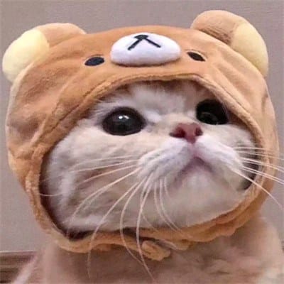 علی رضا avatar